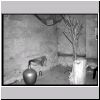 PC171902.html