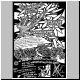 ca_flyer.gif