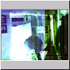 pa189691.html