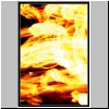 aj.jpg