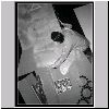 P3143830.html