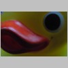 cd.jpg