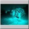 p1010014.html