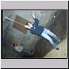 P2283595.html
