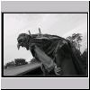 P5146079bw.html