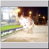 p1010126.html