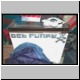 cp.jpg
