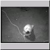 pb040441.html
