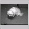 pb040443.html