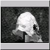pb050444.html