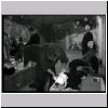 pb050494.html