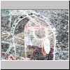 pa229854.html