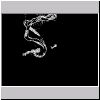 p1010192a.html