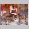 p1010009.html