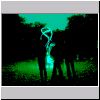 pa088944.html