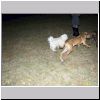 pa088977.html